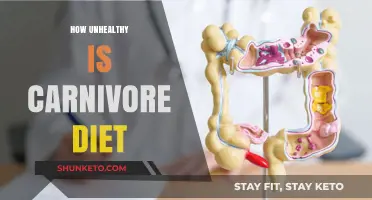 Carnivore Diet: Unhealthy or Not?
