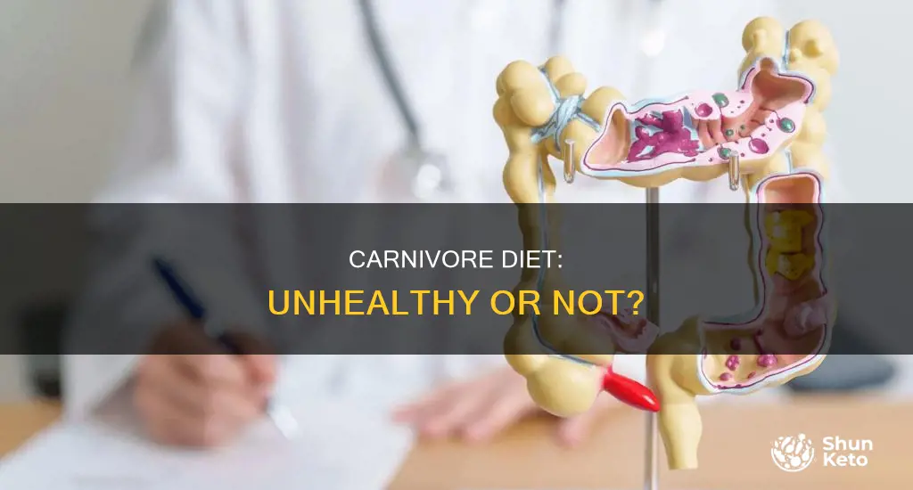 how unhealthy is carnivore diet