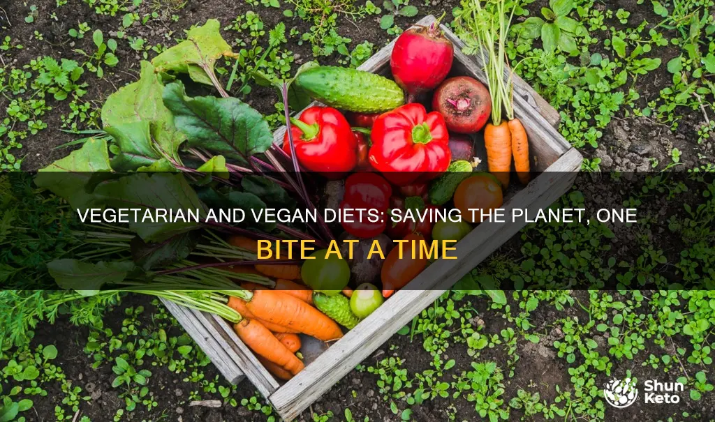 how vegetrian vegan diet helps environment