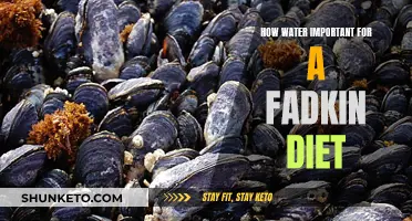 Water and Fadkin Diet: Hydration for Weight Loss
