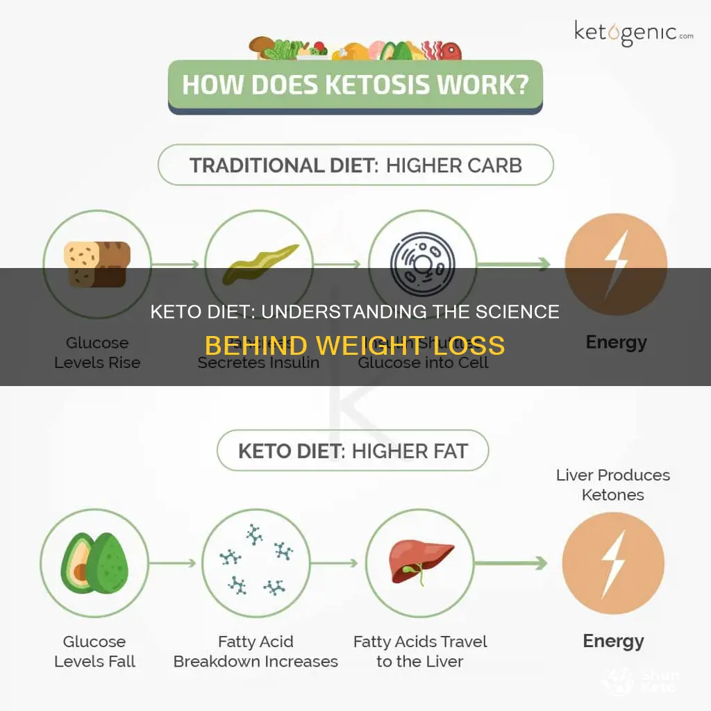 how weight loss happens on keto diet