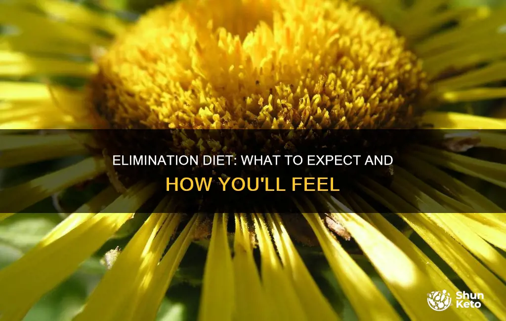 how will i feel after starting the 6 elimination diet