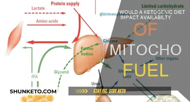 Ketogenic Diet: Impact on Mitochondrial Fuel Sources