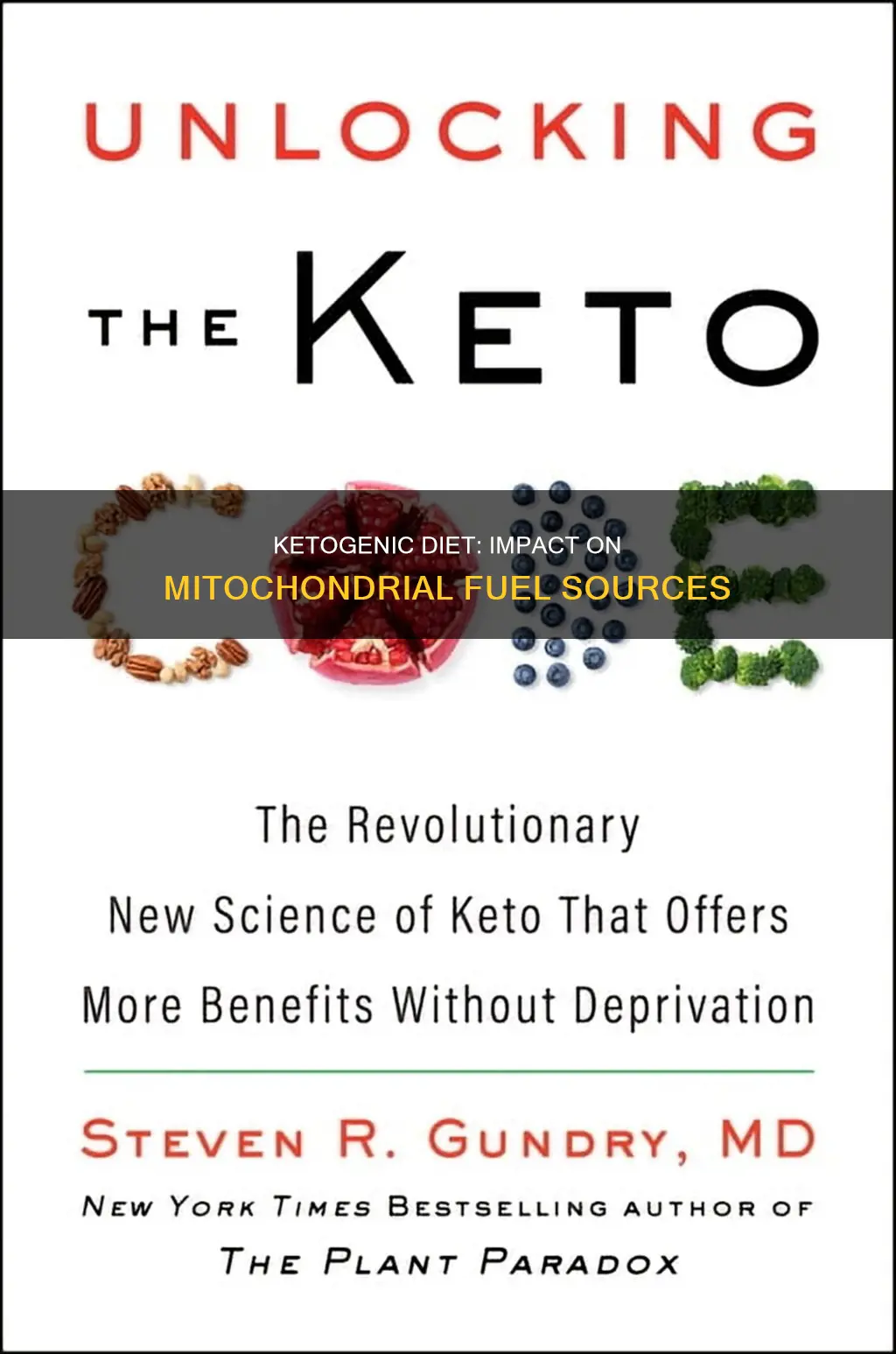 how would a ketogenic diet impact availabilty of mitochondrial fuel