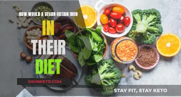 Vegan Iron Sources: Eating Green, Staying Healthy