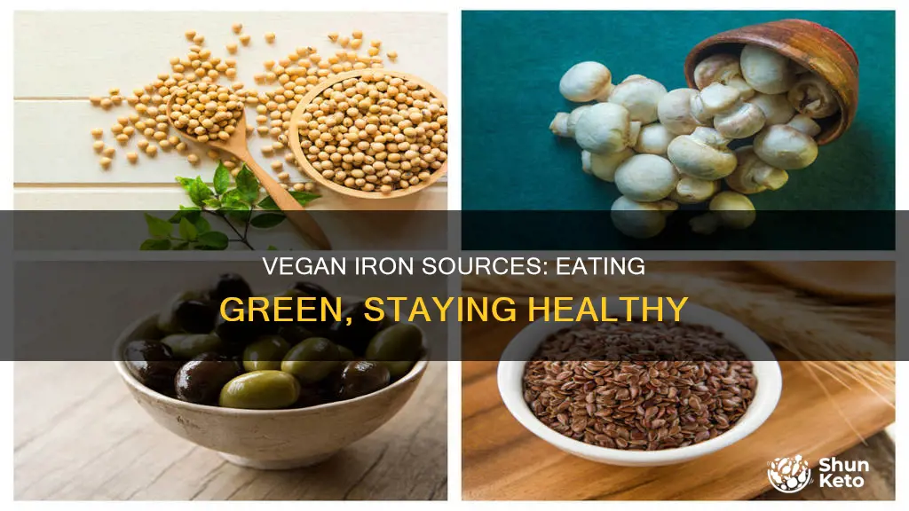 how would a vegan obtain iron in their diet