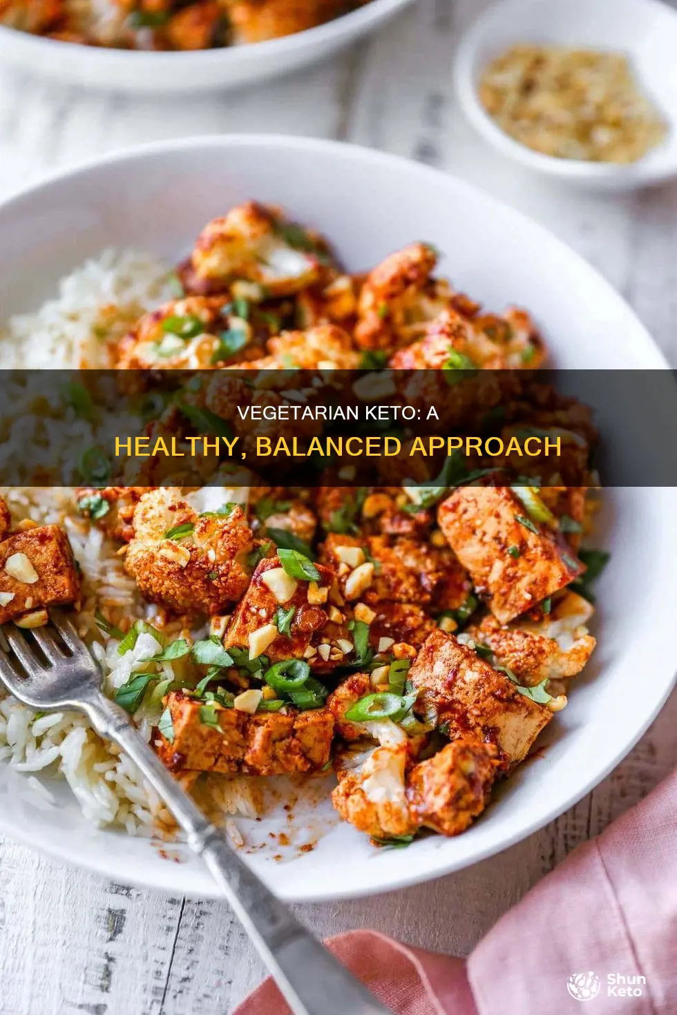 how would a vegetarian do the ketogenic diet