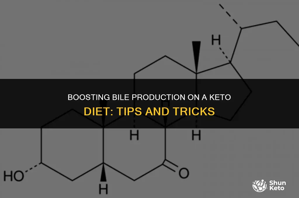 how yo increase bile production keto