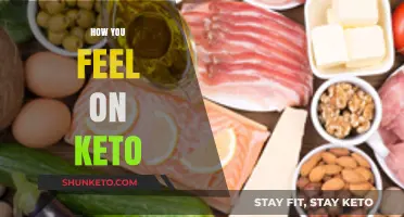 Keto Chronicles: Unveiling the Emotional Rollercoaster of Low-Carb Living