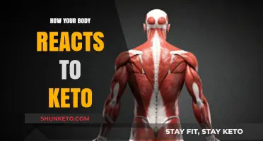 Exploring the Keto Effect: How Your Body Adapts to Low-Carb