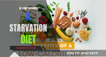 Calorie Counting: Is 1,200 Starvation or Sustainable?