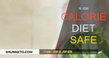 Calorie Counting: Is 1200 Safe?