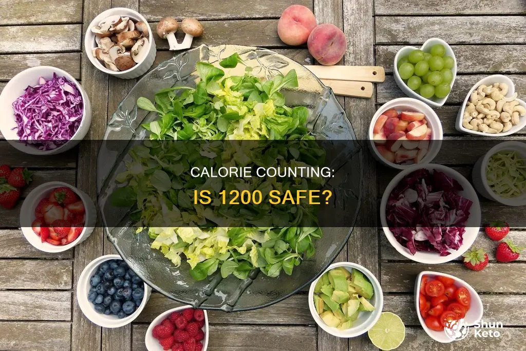 is 1200 calorie diet safe
