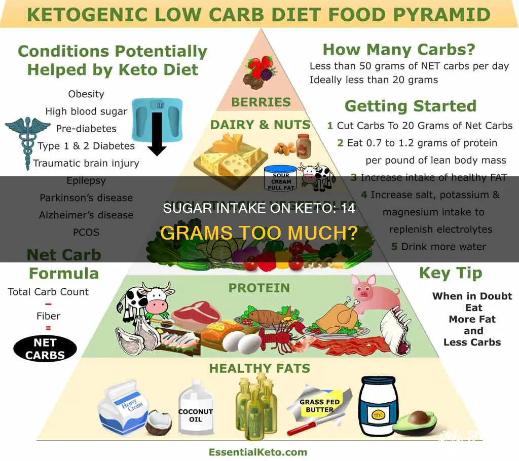 is 14 grams of sugar a lot on keto