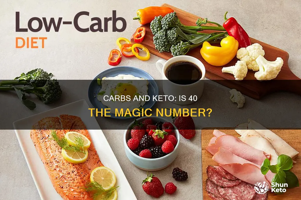 is 40 carbs a day keto