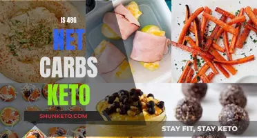 Net Carbs and Keto: Is 48g Too Much?