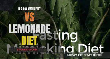 Water Fasting vs Lemonade Diet: Which Is Better?