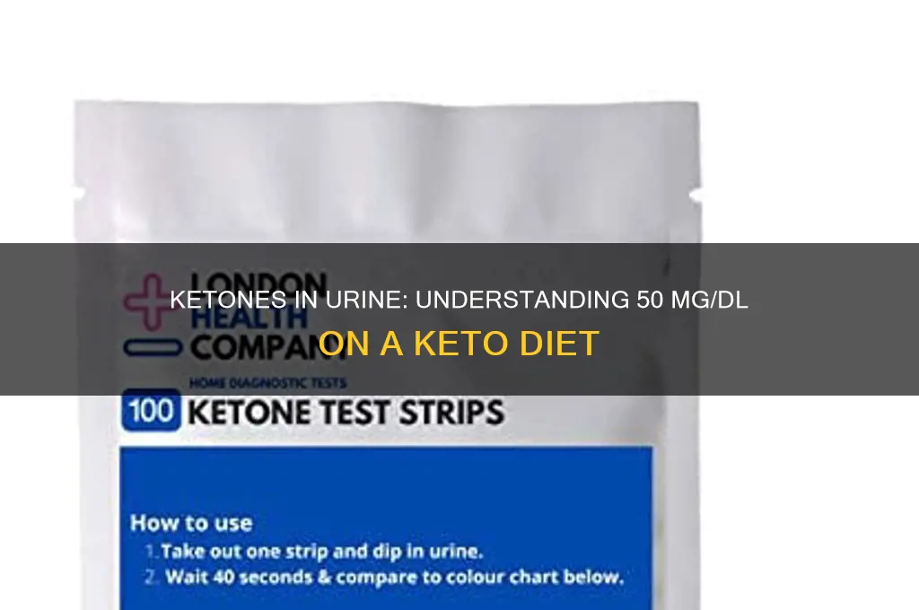 is 50 mg dl ketones in urine keto diet