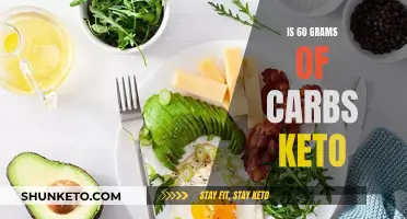 Carb Counting: Is 60 Grams of Carbs Keto-Friendly?