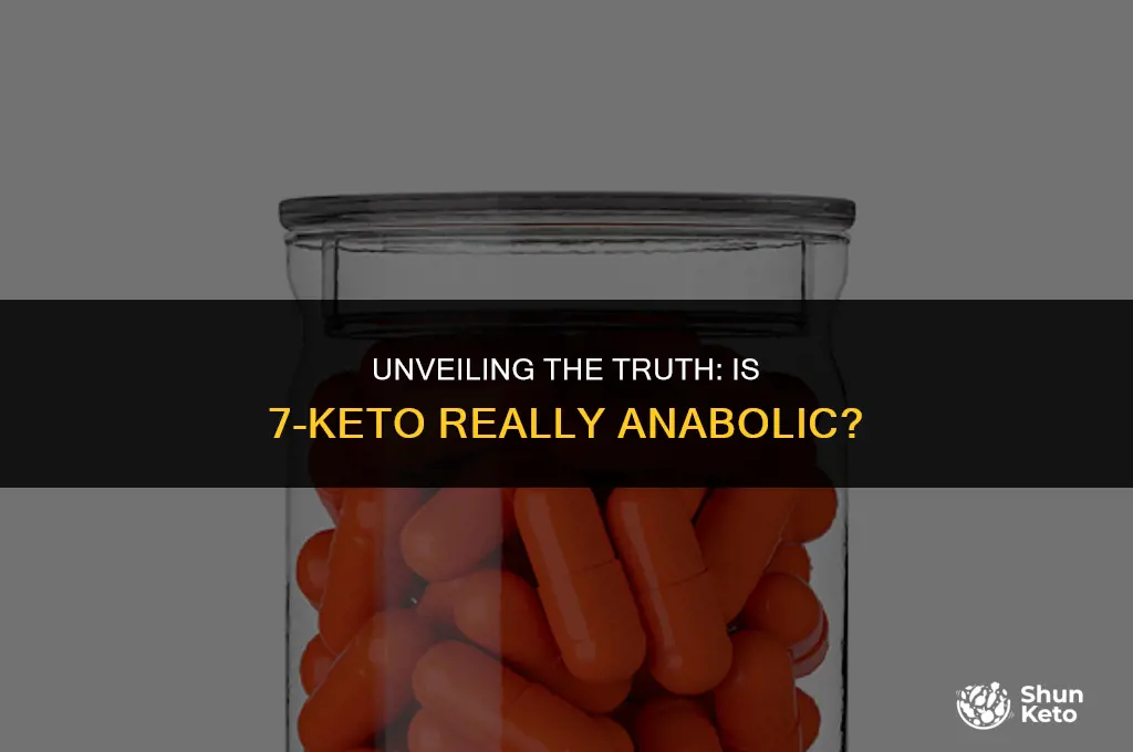 is 7 keto anabolic