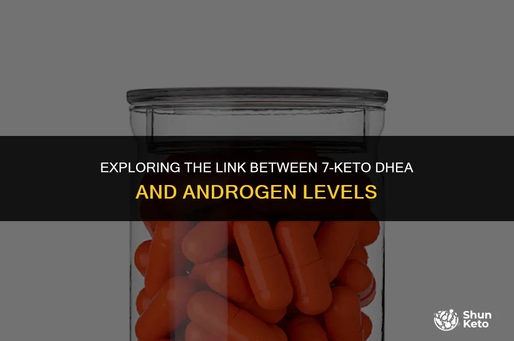 is 7 keto dhea and androgen