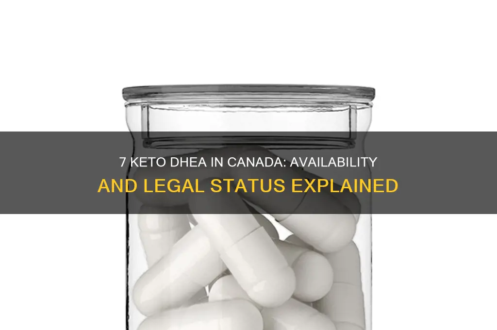 is 7 keto dhea available in canada