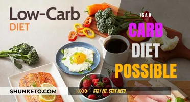 Zero Carb Diet: Is It Possible?