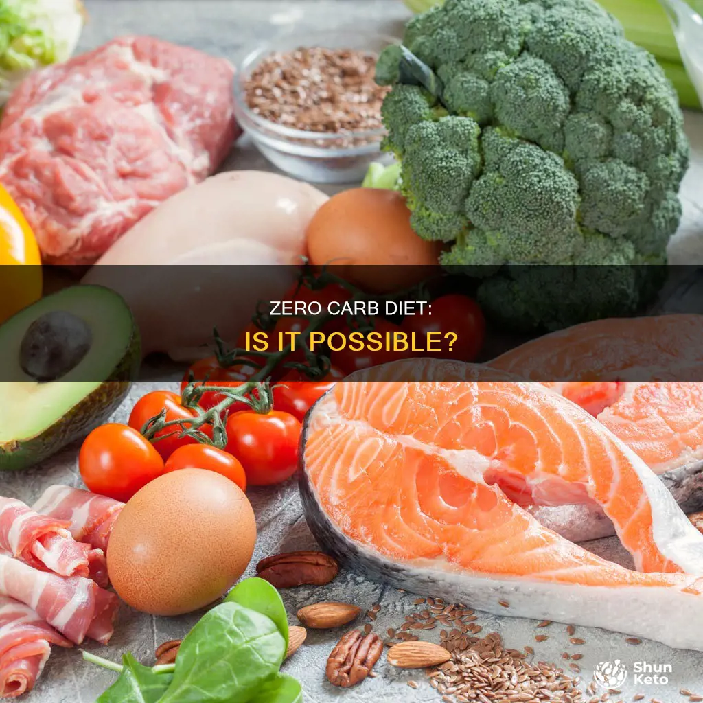 is a 0 carb diet possible
