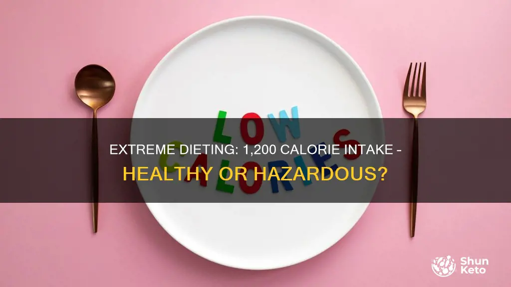 is a 1 200 calorie diet