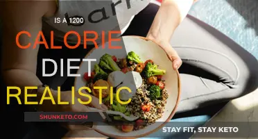 Calorie Counting: Is 1200 Realistic for Weight Loss?
