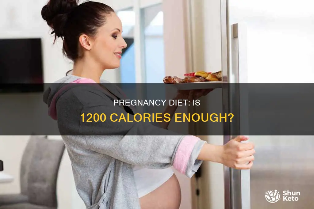 is a 1200 calorie diet safe during pregnancy