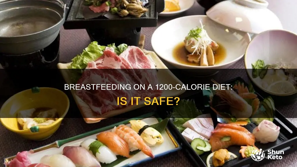 is a 1200 calorie diet safe while breastfeeding