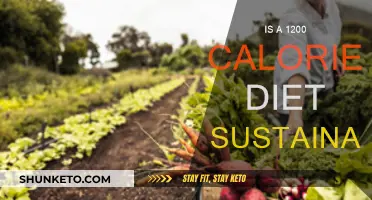 Calorie Counting: Is a 1200 Diet Realistic?
