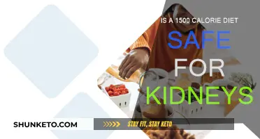 Safe for Kidneys: 1500-Calorie Diet Explained