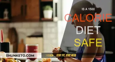 Calorie Counting: Is a 1500-Calorie Diet Safe?