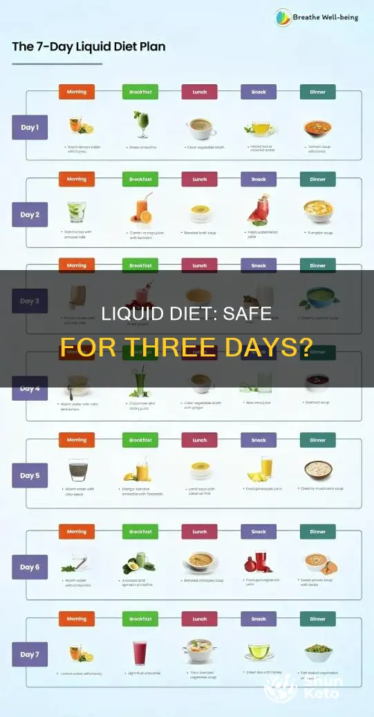 is a 3 day liquid diet safe