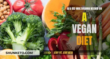 Vegan Diets: Do They Require B12 Multivitamins?