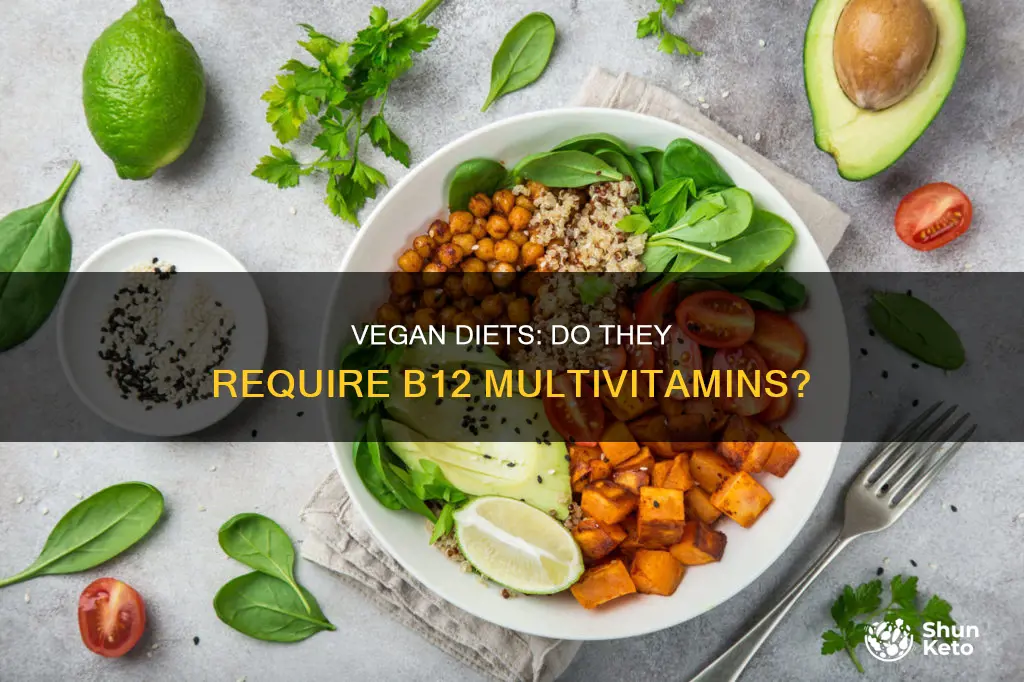 is a b12 multiviamin needed on a vegan diet