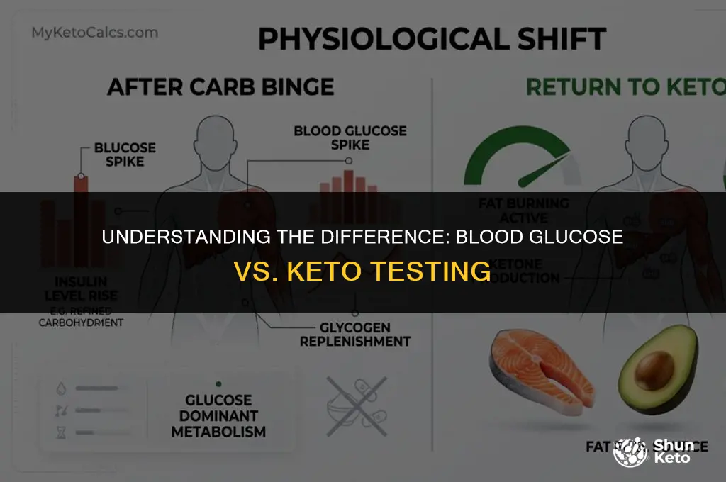 is a blood glucose test the same as keto test