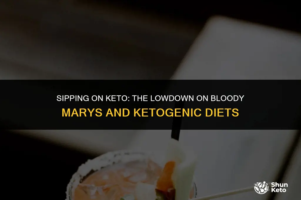 is a bloody mary keto frie dly