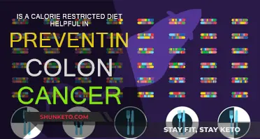 Calorie Restriction: Preventing Colon Cancer?