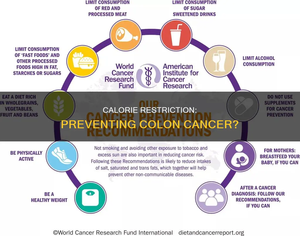 is a calorie restricted diet helpful in preventing colon cancer
