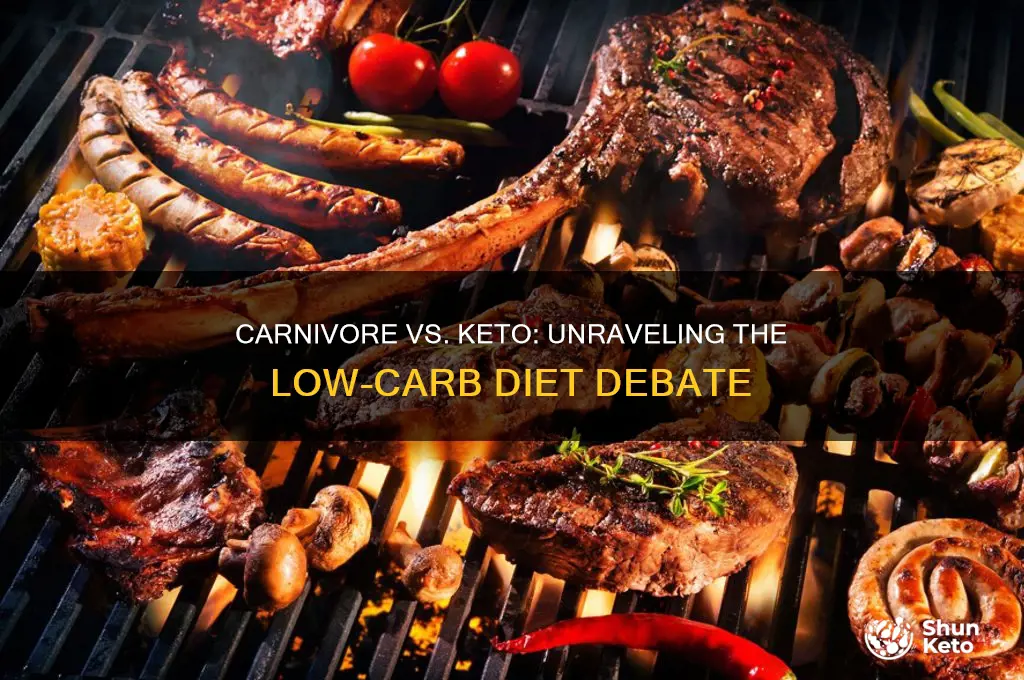 is a carnivore diet keto