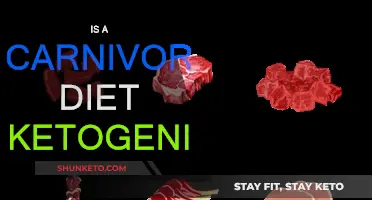 Carnivore Diet: Ketogenic or Not?