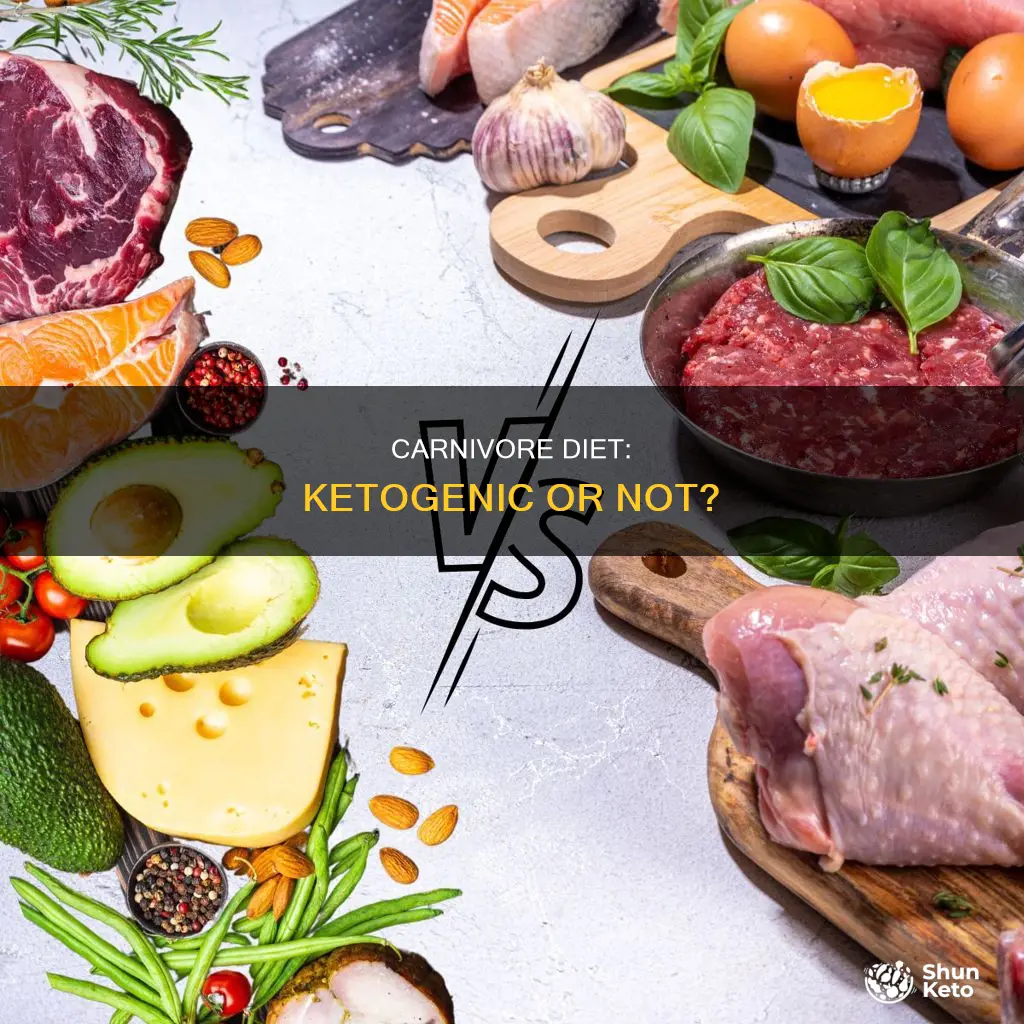 is a carnivore diet ketogenic