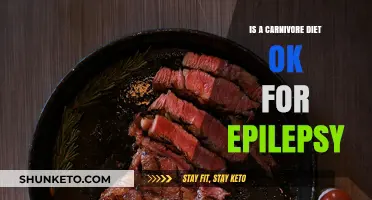 Carnivore Diet: A Safe Epilepsy Treatment?