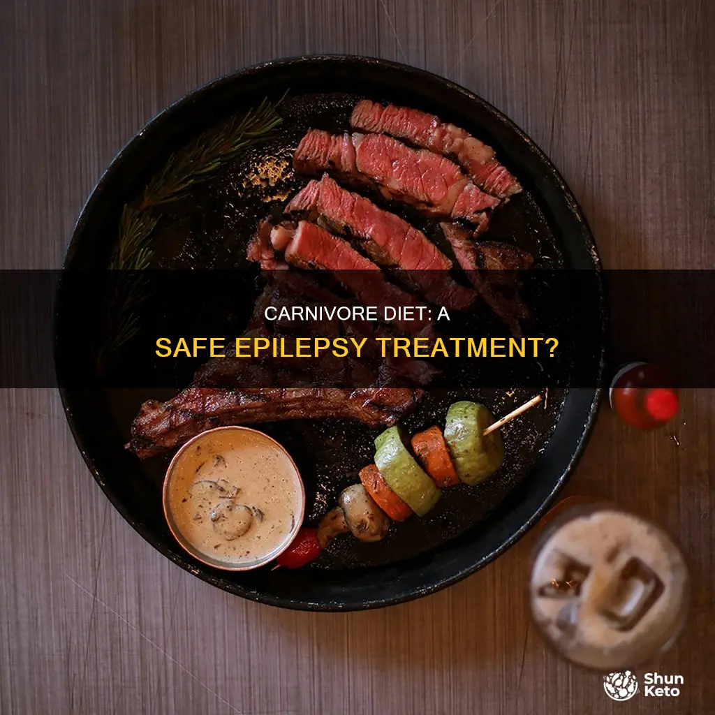 is a carnivore diet ok for epilepsy