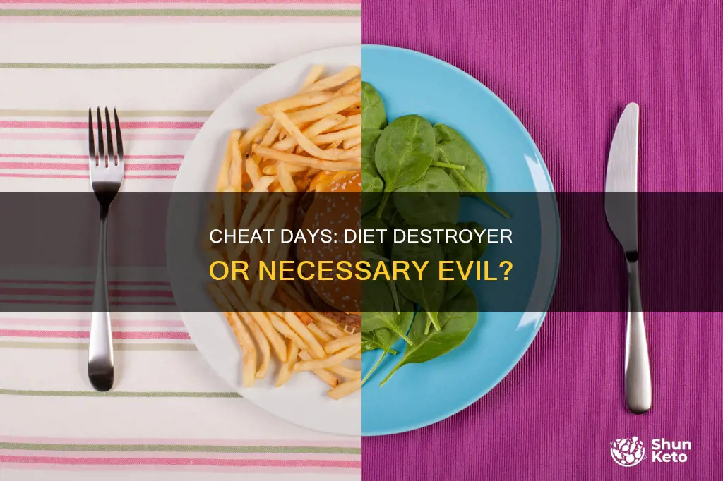 is a cheat day detrimental to a diet