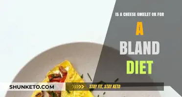 Cheese Omelet: Bland Diet-Friendly?