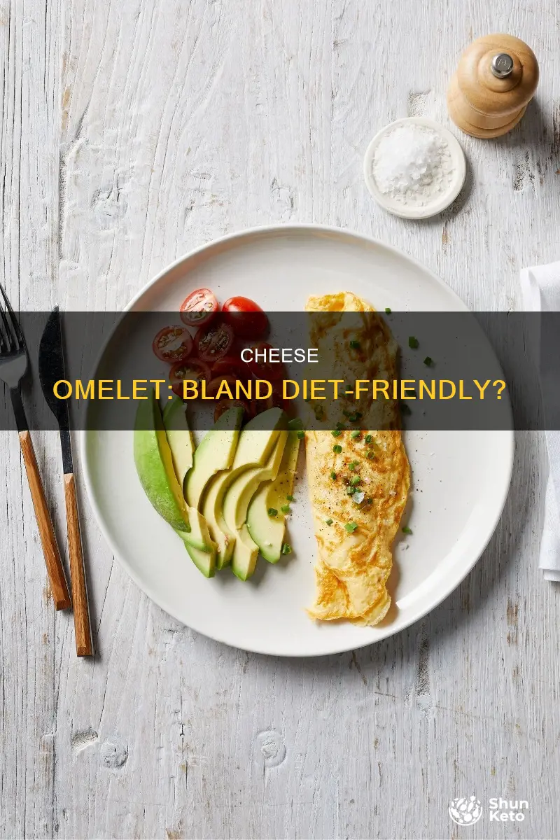 is a cheese omelet ok for a bland diet